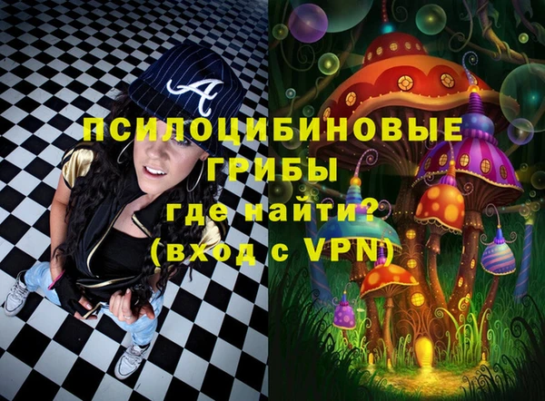 дживик Магас