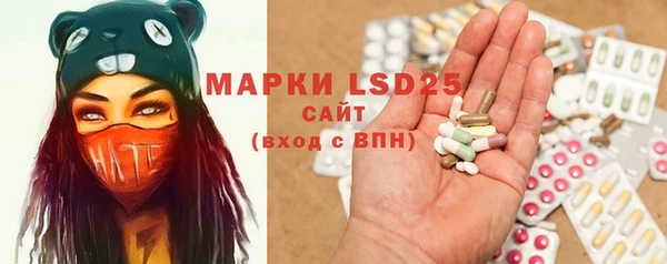 дживик Магас