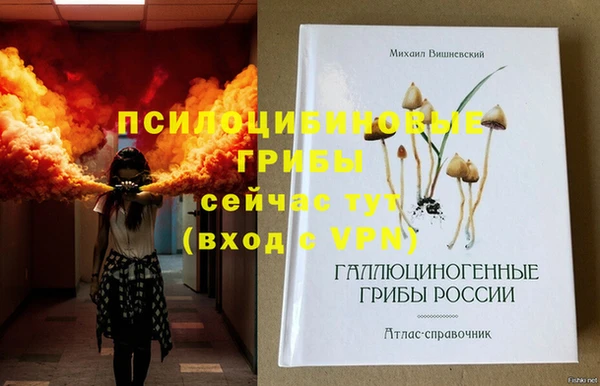 дживик Магас