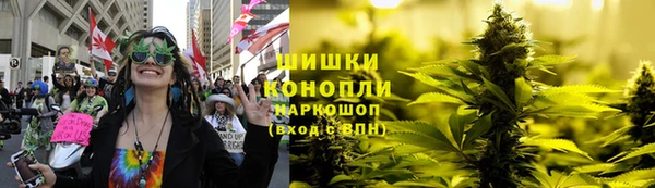 дживик Магас