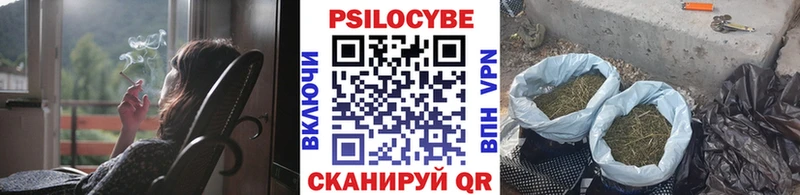 купить закладку  Братск  Псилоцибиновые грибы Magic Shrooms 