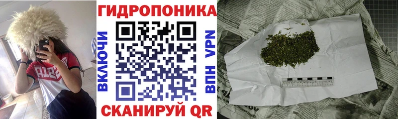 Шишки марихуана конопля  Братск 